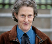 Temple Grandin movies in