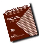 Cover of Promising Approaches Issue 8